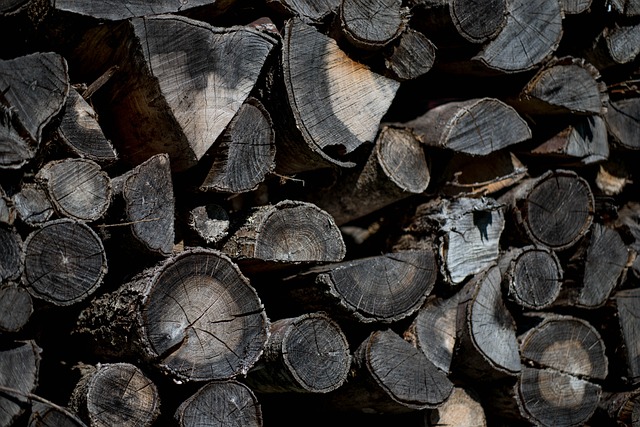 Individual & Community Prepardness